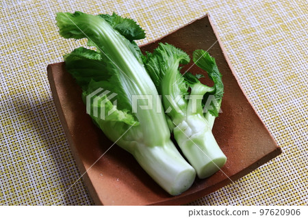 春芽 (Tshomina) 97620906