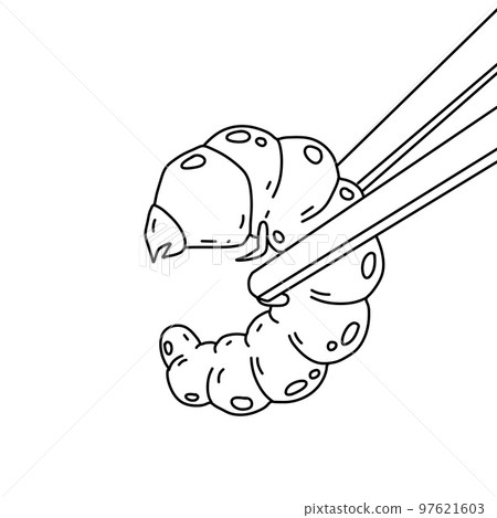Edible larva. Eating caterpillar with chopsticks. Asian snack and street fast food. Source of insect protein. Edible larva. Eating caterpillar with chopsticks. Asian snack and street fast food. Source of insect protein. 97621603