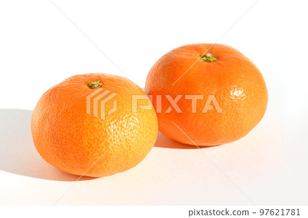 mikan(⁠◍⁠•⁠ᴗ⁠•⁠◍⁠)！ Mikan (Nankan No. 20) - Stock Photo [97621781] - PIXTA