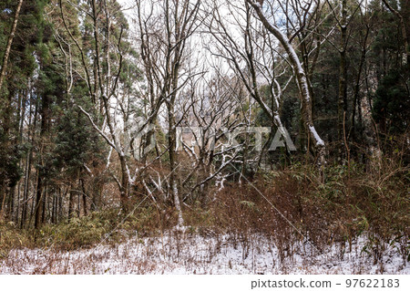 冬季的菊池峽雪景 冬季的菊池峽雪景 97622183