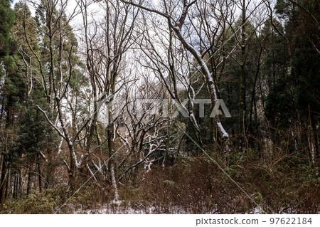 冬季的菊池峽雪景 97622184