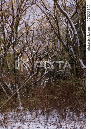 Kikuchi Gorge snow scene in winter Kikuchi Gorge snow scene in winter 97622192