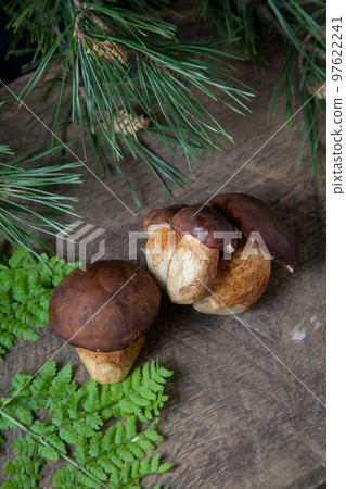 Several Imleria Badia or Boletus badius mushrooms commonly known as the bay bolete on vintage wooden background.. Several Imleria Badia or Boletus badius mushrooms commonly known as the bay bolete on vintage wooden background.. 97622241