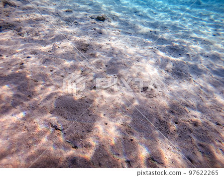 Panther flounder fish (Bothus pantherinus) on sand at coral reef.. Panther flounder fish (Bothus pantherinus) on sand at coral reef.. 97622265