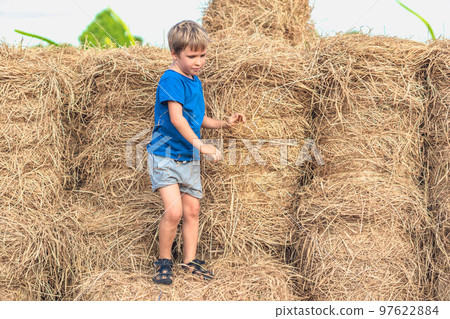 Boy blue t-shirt smile play climbs on down haystack bales of dry hay, clear sky sunny day. Outdoor kid children summer leisure activities. Concept happy childhood countryside, air close to nature Boy blue t-shirt smile play climbs on down haystack bales of dry hay, clear sky sunny day. Outdoor kid children summer leisure activities. Concept happy childhood countryside, air close to nature 97622884