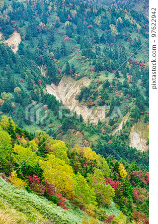 Autumn leaves of rowan and birch seen from near Shibu Pass in Shiga Kogen in autumn Autumn leaves of rowan and birch seen from near Shibu Pass in Shiga Kogen in autumn 97622942