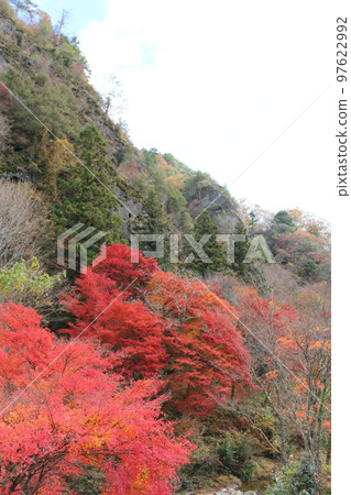 石鎚連峰的紅葉 石鎚連峰的紅葉 97622992