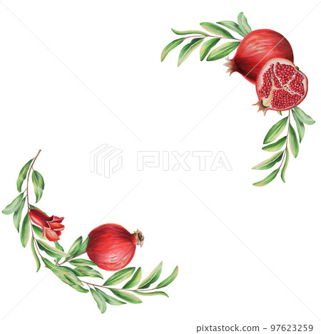 Watercolor pomegranate frame with a branch. Ripe slice, flowers and seeds of pomegranate. Hand drawn realistic tasty garnet red fruit isolated Watercolor pomegranate frame with a branch. Ripe slice, flowers and seeds of pomegranate. Hand drawn realistic tasty garnet red fruit isolated 97623259