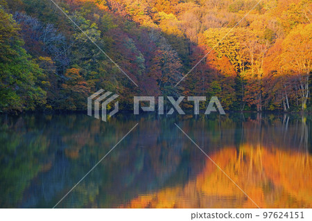 Autumn leaves of Iinoizuma Autumn leaves of Iinoizuma 97624151
