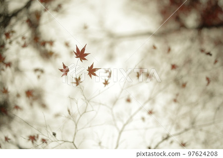 寒冷的寒風 97624208