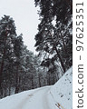 A path in the forest among pines and fir trees in winter vertical photo 97625351