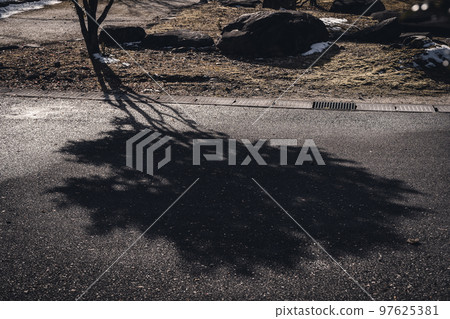 Shade of tree Shade of tree 97625381