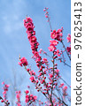 Spring flower  97625413