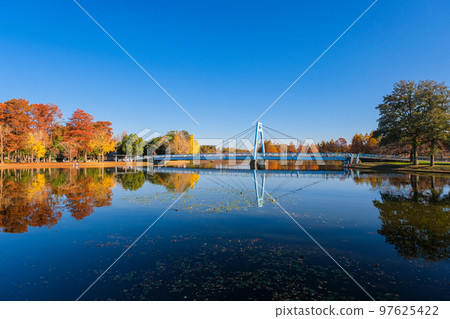 葛飾區,東京水元公園在秋天 葛飾區,東京水元公園在秋天 97625422