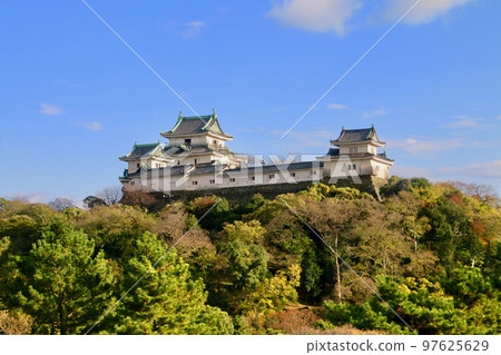Wakayama Castle and castle tower (Wakayama Prefecture, Wakayama City) Wakayama Castle and castle tower (Wakayama Prefecture, Wakayama City) 97625629