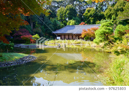 Kizugawa City, Kyoto Prefecture, Joruriji Temple main hall in autumn 97625803