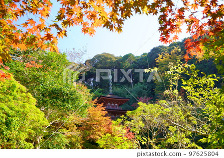 Kizugawa City, Kyoto Prefecture, Joruriji Temple in autumn, three-storied pagoda in autumn leaves 97625804