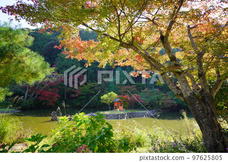 Kizugawa City, Kyoto Prefecture, Joruriji Temple in autumn, garden in autumn leaves 97625805