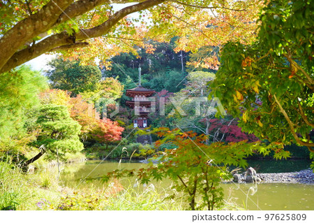 Kizugawa City, Kyoto Prefecture, Joruriji Temple in autumn, three-storied pagoda in autumn leaves 97625809