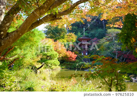 Kizugawa City, Kyoto Prefecture, Joruriji Temple in autumn, three-storied pagoda in autumn leaves 97625810