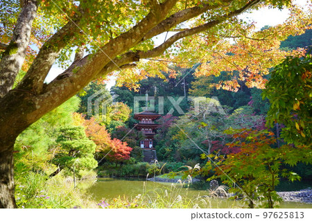 Kizugawa City, Kyoto Prefecture, Joruriji Temple in autumn, three-storied pagoda in autumn leaves 97625813