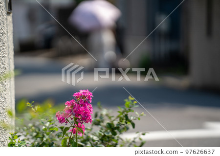 Summer heat alley, parasols and red flowers 97626637