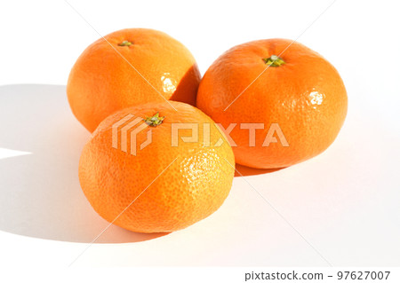 Mikan (Nankan No. 20) 97627007