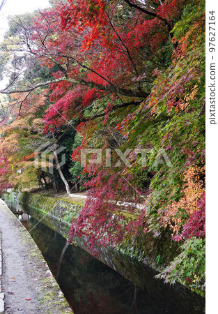 Philosopher's Path in autumn leaves Philosopher's Path in autumn leaves 97627164
