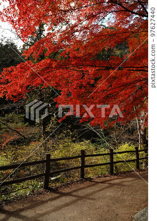 shosenkyo 山谷落基山岩石自然葉子瀑布水河溪流葉子樹山旅遊旅行日本 mitake shosenkyo 山梨 shosenkyo 山谷落基山岩石自然葉子瀑布水河溪流葉子樹山旅遊旅行日本 mitake shosenkyo 山梨 97627440