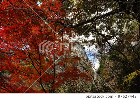 shosenkyo 山谷落基山岩石自然葉子瀑布水河溪流葉子樹山旅遊旅行日本 mitake shosenkyo 山梨 shosenkyo 山谷落基山岩石自然葉子瀑布水河溪流葉子樹山旅遊旅行日本 mitake shosenkyo 山梨 97627442