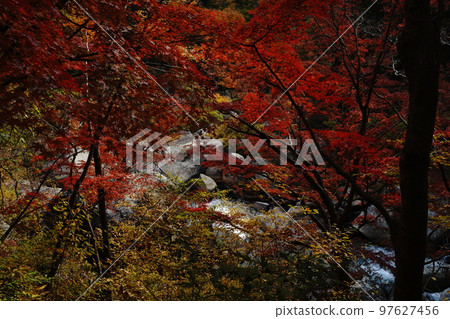 shosenkyo valley rocky mountain rocks nature foliage waterfall water river stream foliage tree mountain tourism travel japan mitake shosenkyo yamanashi shosenkyo valley rocky mountain rocks nature foliage waterfall water river stream foliage tree mountain tourism travel japan mitake shosenkyo yamanashi 97627456