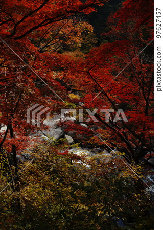 shosenkyo valley rocky mountain rocks nature foliage waterfall water river stream foliage tree mountain tourism travel japan mitake shosenkyo yamanashi shosenkyo valley rocky mountain rocks nature foliage waterfall water river stream foliage tree mountain tourism travel japan mitake shosenkyo yamanashi 97627457