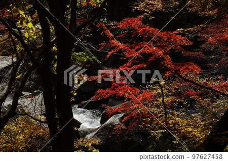 shosenkyo 山谷落基山岩石自然葉子瀑布水河溪流葉子樹山旅遊旅行日本 mitake shosenkyo 山梨 shosenkyo 山谷落基山岩石自然葉子瀑布水河溪流葉子樹山旅遊旅行日本 mitake shosenkyo 山梨 97627458