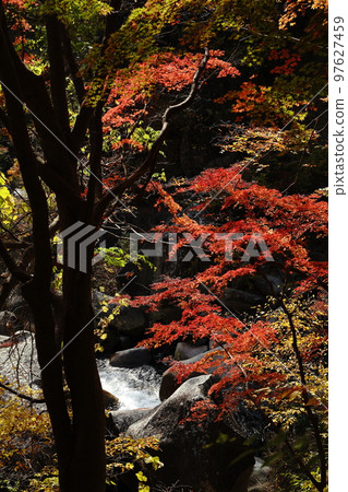 shosenkyo valley rocky mountain rocks nature foliage waterfall water river stream foliage tree mountain tourism travel japan mitake shosenkyo yamanashi shosenkyo valley rocky mountain rocks nature foliage waterfall water river stream foliage tree mountain tourism travel japan mitake shosenkyo yamanashi 97627459