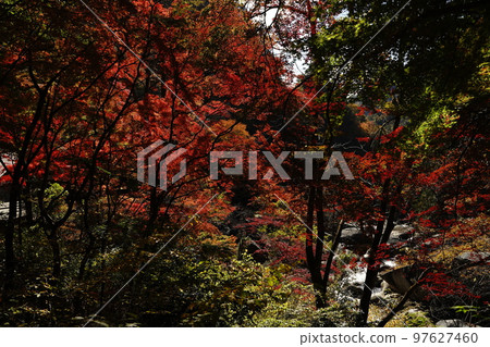 shosenkyo valley rocky mountain rocks nature foliage waterfall water river stream foliage tree mountain tourism travel japan mitake shosenkyo yamanashi shosenkyo valley rocky mountain rocks nature foliage waterfall water river stream foliage tree mountain tourism travel japan mitake shosenkyo yamanashi 97627460