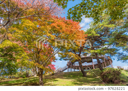 群馬縣風景區秋葉上野山公園心跳甲板 97628221