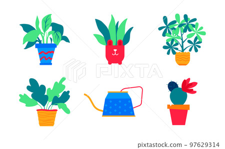 Variety of home flowers - set of flat design style objects 97629314