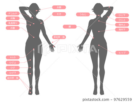 適合短鮑伯、前後輪廓套裝的女性除毛療程區 適合短鮑伯、前後輪廓套裝的女性除毛療程區 97629559
