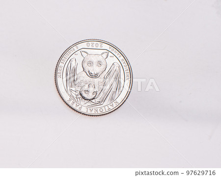 US Dollar coins President series $1 golden colored. The United States Mint honors our nation's presidents. Overhead flat lay US Dollar coins President series $1 golden colored. The United States Mint honors our nation's presidents. Overhead flat lay 97629716