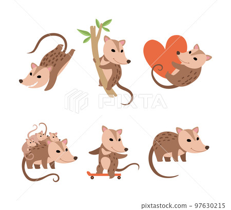 Cute Opossum Animal Engaged in Different Activity Vector Set 97630215