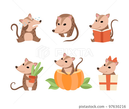 Cute Opossum Animal Engaged in Different Activity Vector Set 97630216