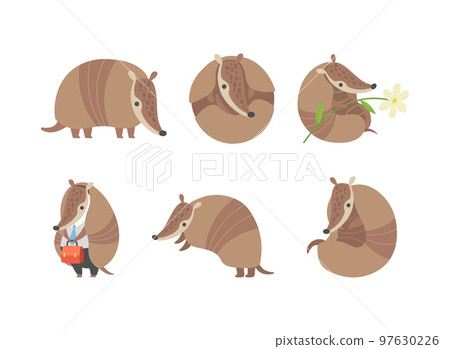 Cute Armadillo Character with Armor Shell Engaged in Different Activity Vector Set Cute Armadillo Character with Armor Shell Engaged in Different Activity Vector Set 97630226