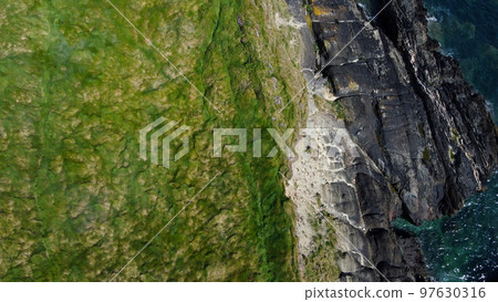 Dense thickets of grass on the shore. Grass-covered rocks on the Atlantic Ocean coast. Nature of Ireland, top view. Drone photo. View from above. Dense thickets of grass on the shore. Grass-covered rocks on the Atlantic Ocean coast. Nature of Ireland, top view. Drone photo. View from above. 97630316