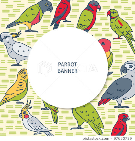 Colorful background with parrot icons in line style and place for text Colorful background with parrot icons in line style and place for text 97630759