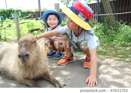 兄弟倆在動物園玩耍 97631703