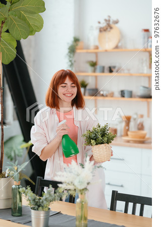 Woman spraying water on houseplants in flower pots by sprayer. Woman spraying water on houseplants in flower pots by sprayer. 97632676