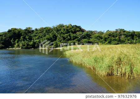三浦半島的風景，惠拿灣的灘塗 97632976