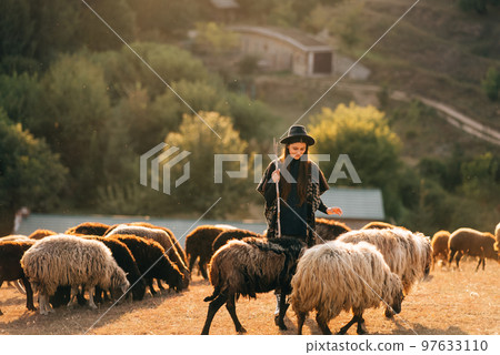 Female shepherd and flock of sheep at a lawn Female shepherd and flock of sheep at a lawn 97633110