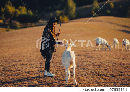 A female shepherd grazes goats on a meadow A female shepherd grazes goats on a meadow 97633114