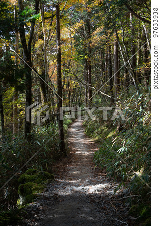 Odaigahara Higashi Odai Hiking Course Odaigahara Higashi Odai Hiking Course 97633938
